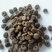 多款狗粮猫粮，支持OEM