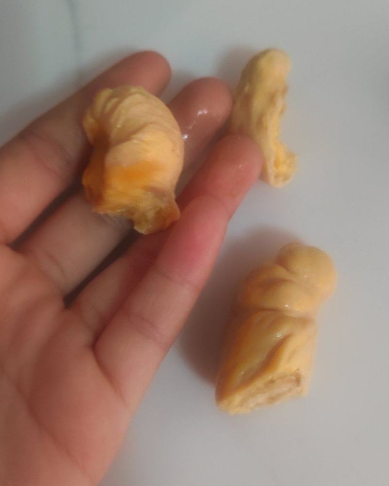 一鸡难求的鸡宝