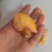 一鸡难求的鸡宝