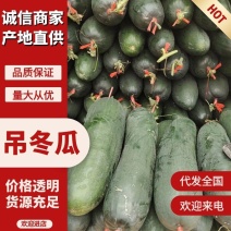 广东韶关吊冬瓜条形好品种齐有各种规格选择欢迎你