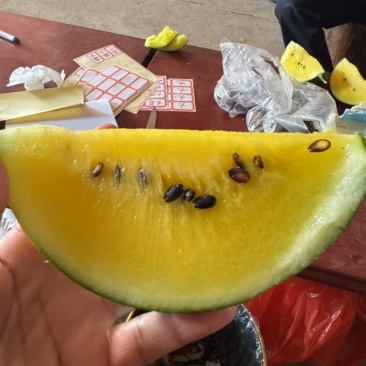 特小凤
