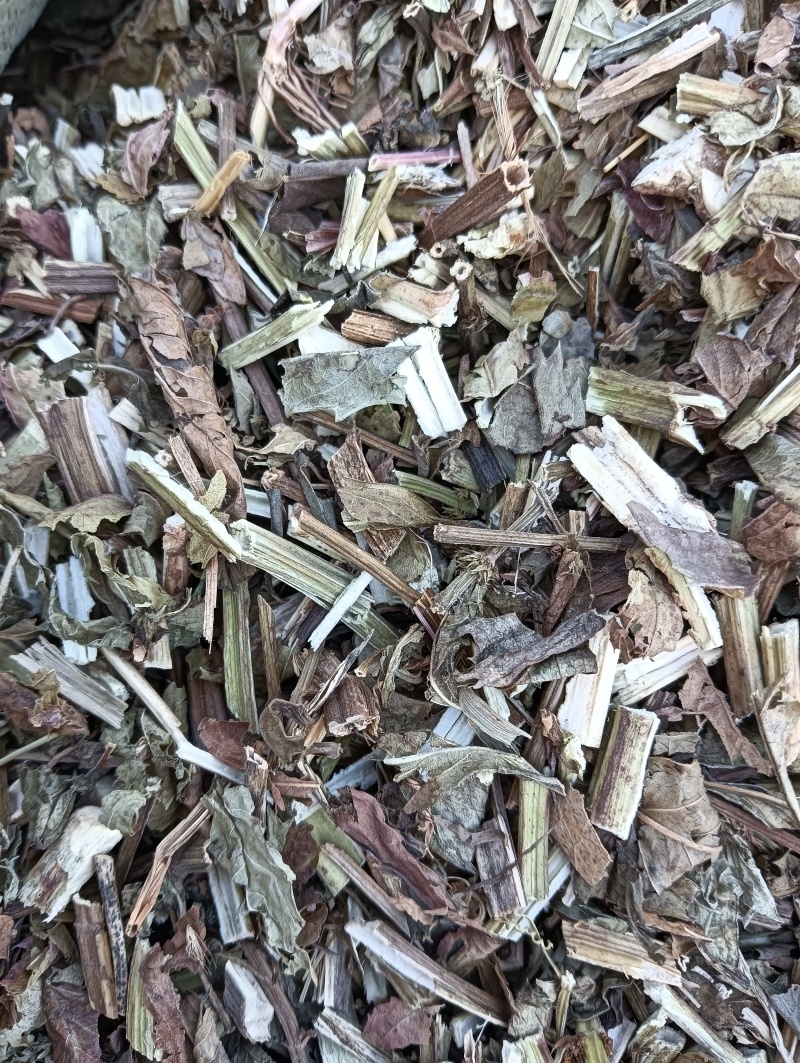 泽兰实拍泽兰现货供应批发各种中药材量大优惠