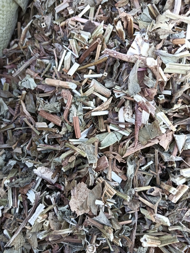 泽兰实拍泽兰现货供应批发各种中药材量大优惠