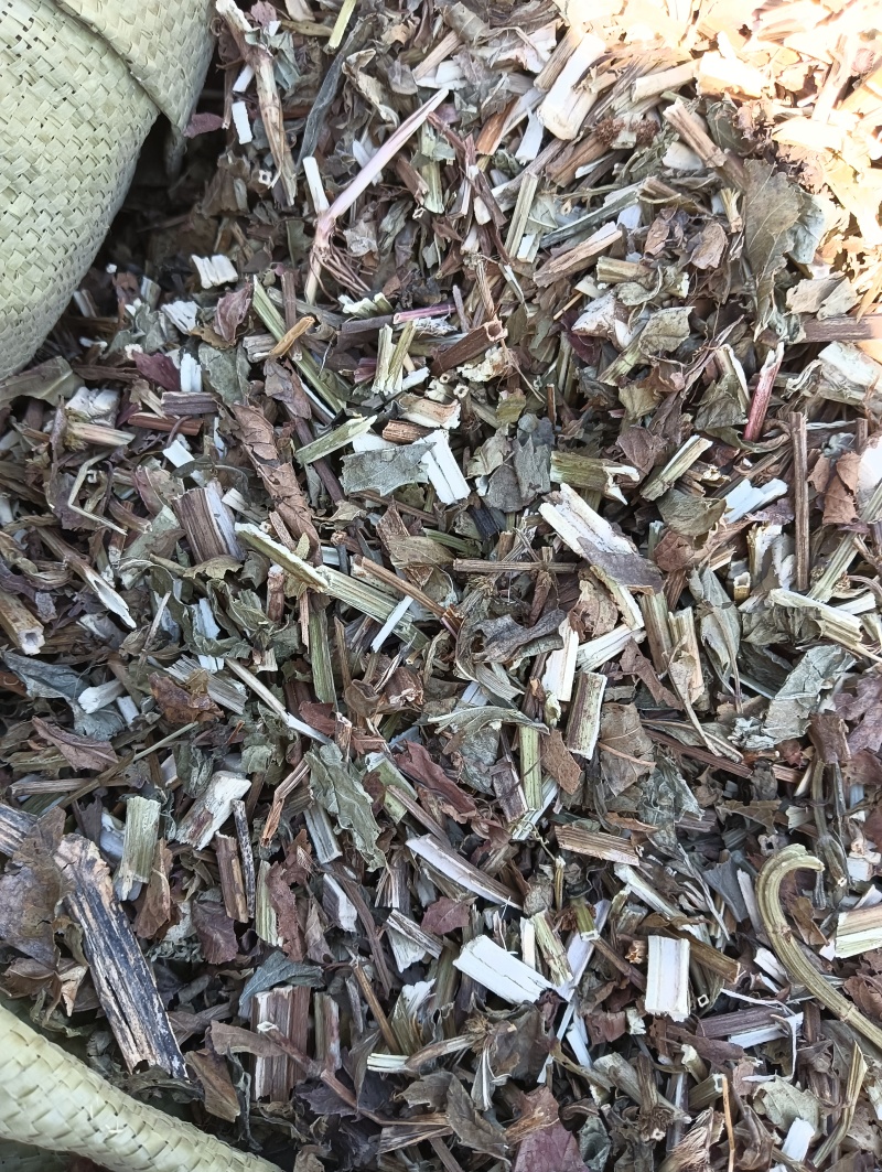泽兰实拍泽兰现货供应批发各种中药材量大优惠