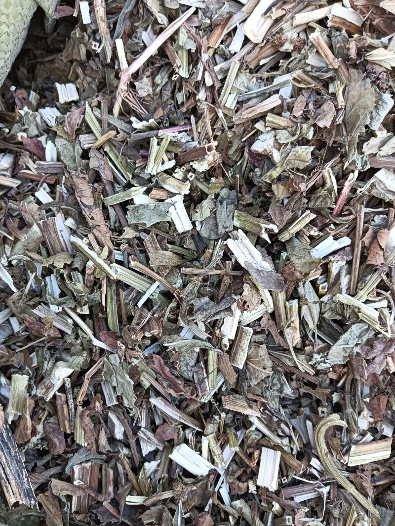 泽兰实拍泽兰现货供应批发各种中药材量大优惠