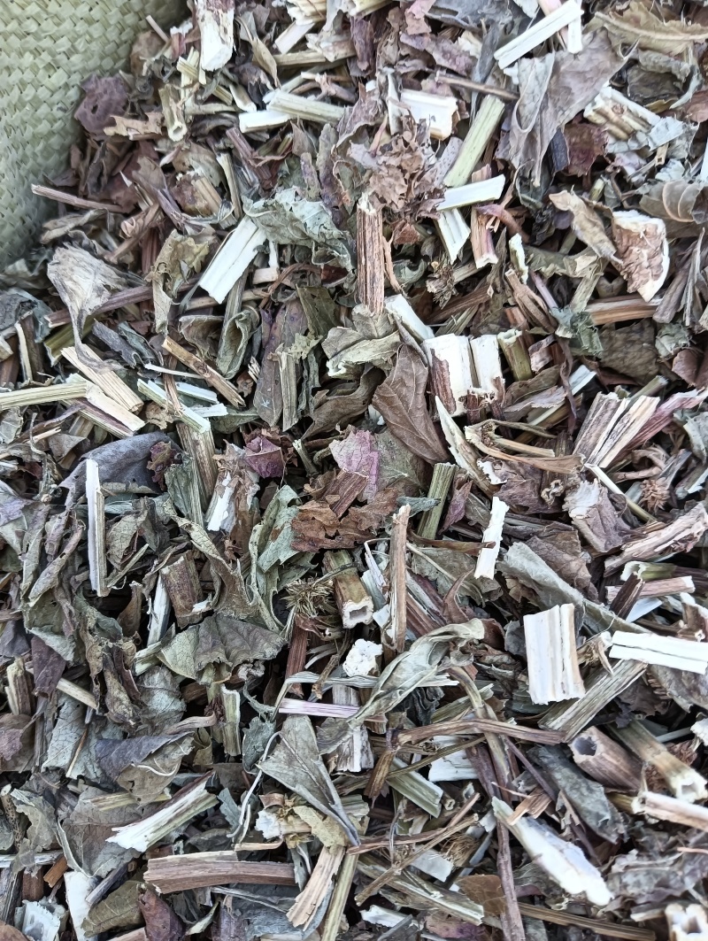 泽兰实拍泽兰现货供应批发各种中药材量大优惠