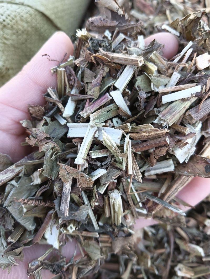 泽兰实拍泽兰现货供应批发各种中药材量大优惠