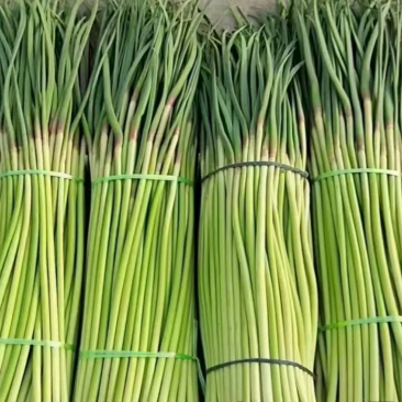 红冒蒜薹