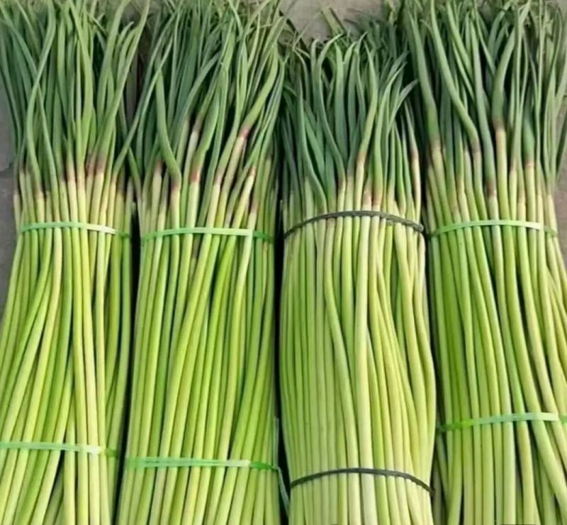 红冒蒜薹
