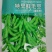毛豆种子-特早鲜毛豆早熟高产非转基因