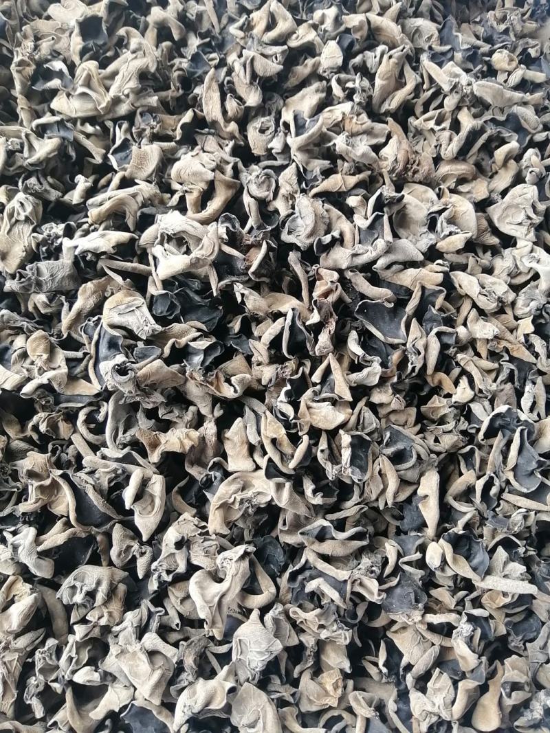 黑龙江黑木耳