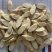 黄芪指甲片手选货1.2-1.5大片