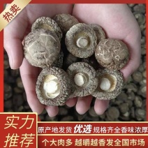 [河北香菇]一手货源，菌菇之乡！量大从优，来实力客商！