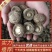 [河北香菇]一手货源，菌菇之乡！量大从优，来实力客商！