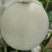 精品玉菇大量有货