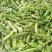 推荐油豆角一点红油豆角货源充足量大从优价格实惠