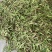 推荐油豆角一点红油豆角货源充足量大从优价格实惠