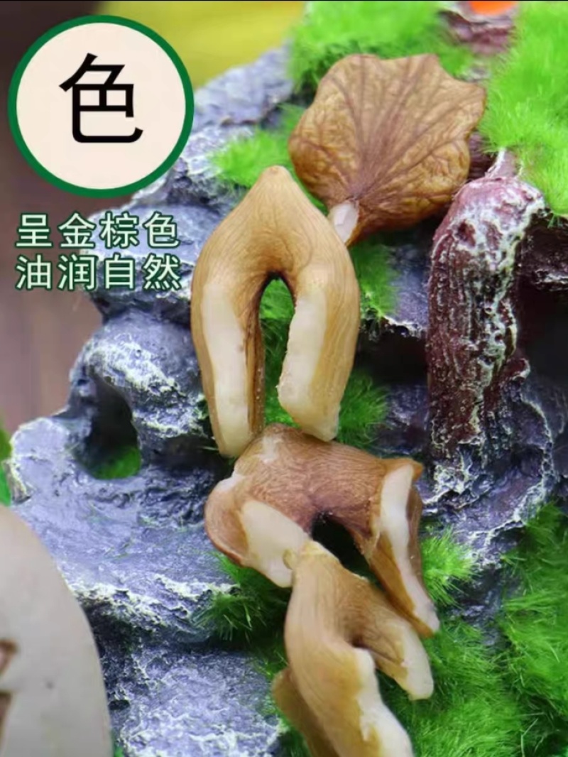 山核桃仁东北野生亚布力雪乡煲粥制作点心实惠装包邮