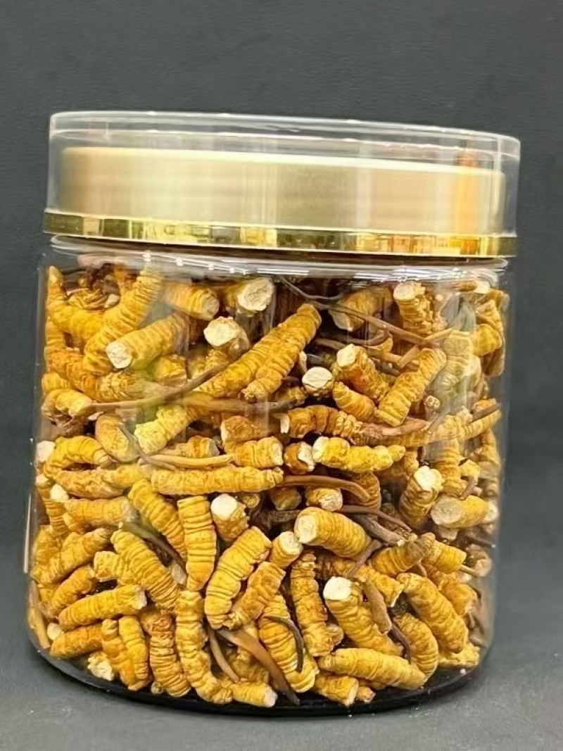 冬虫夏草货源充足，产地直发，诚信经营，欢迎客商来电