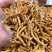 冬虫夏草货源充足，产地直发，诚信经营，欢迎客商来电