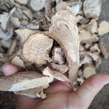 野生商陆，切片干货，今年新货，量大价格优惠，欢迎咨询
