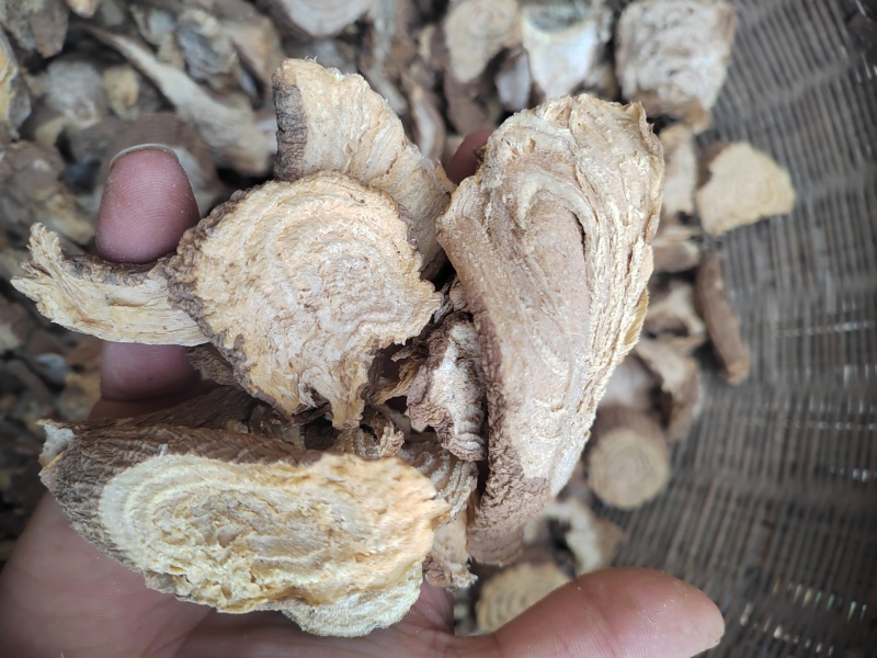 野生商陆，切片干货，今年新货，量大价格优惠，欢迎咨询