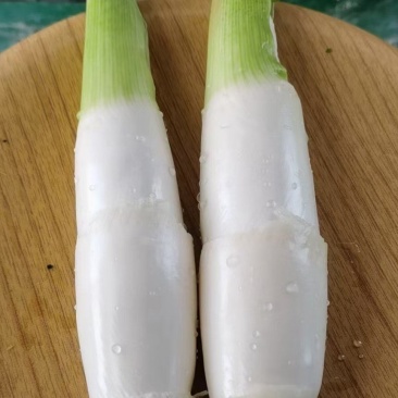 鸡腿茭白（无黑心双季茭白，基地种植，产地直供）