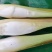 鸡腿茭白（无黑心双季茭白，基地种植，产地直供）