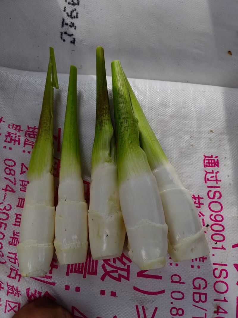 鸡腿茭白（无黑心双季茭白，基地种植，产地直供）