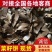 莱籽二级饼，价格便宜，品质保证，诚信经营，可视频看货