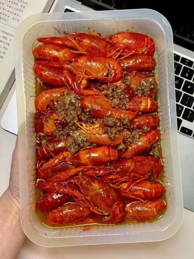 【麻辣小龙虾】莱克调味小龙虾