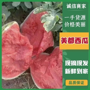 美都西瓜—麒麟西瓜—大量有货—皮薄瓤红—物美价廉整车直发