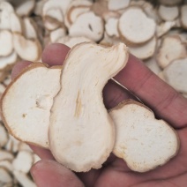 天花粉河北天花粉正品无硫质量保证批发零售各种中药