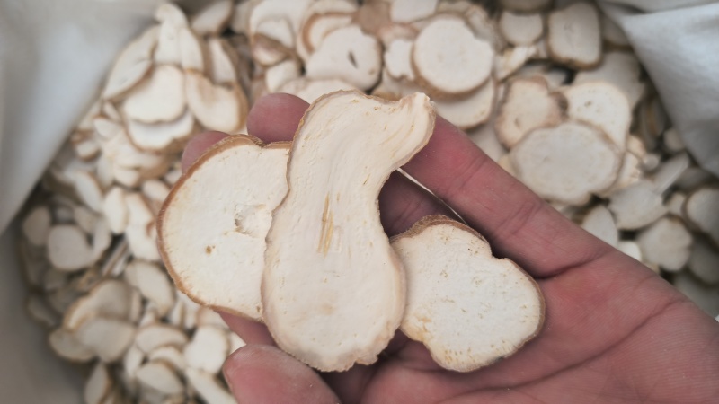 天花粉河北天花粉正品无硫质量保证批发零售各种中药