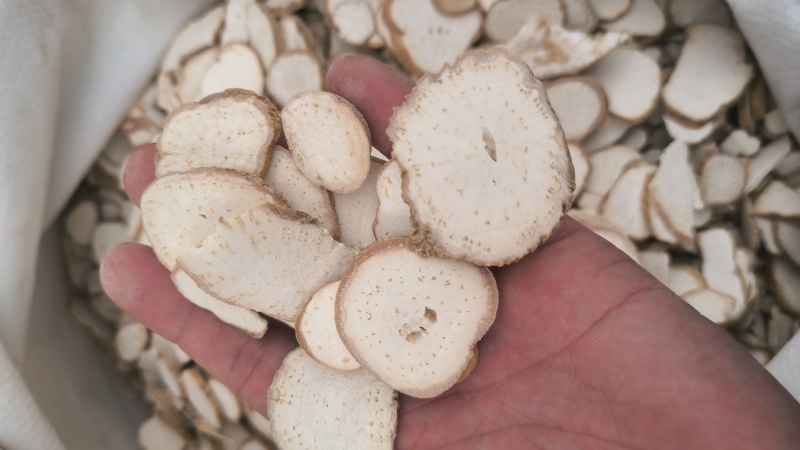 天花粉河北天花粉正品无硫质量保证批发零售各种中药