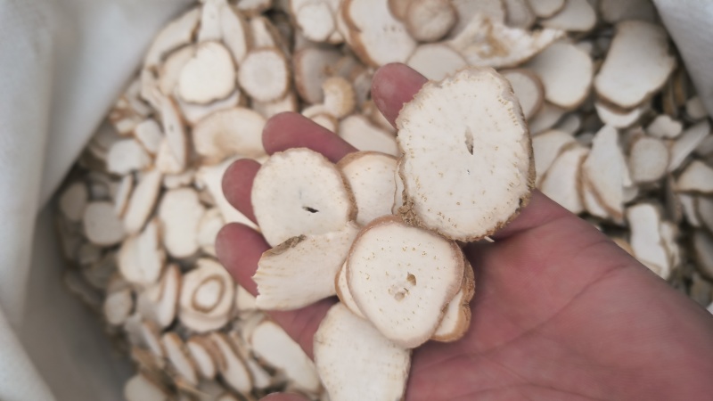 天花粉河北天花粉正品无硫质量保证批发零售各种中药