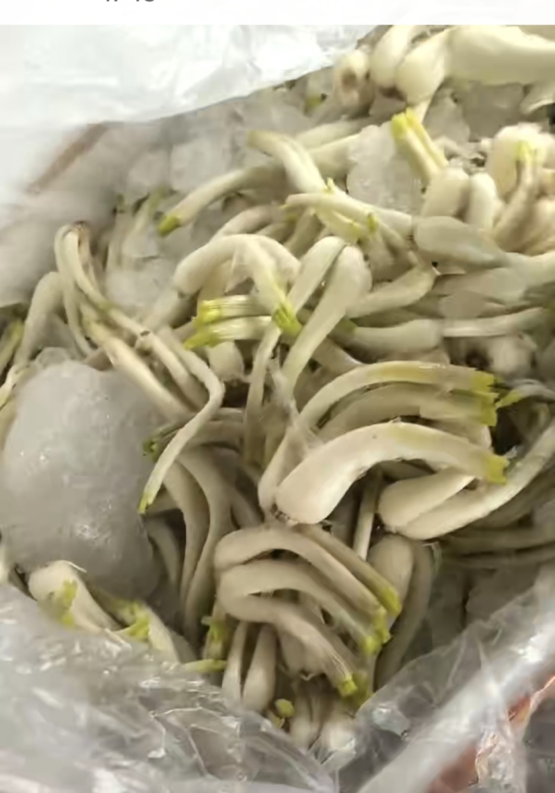 藠头，荞头