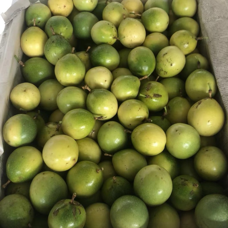 广西钦蜜9号百香果