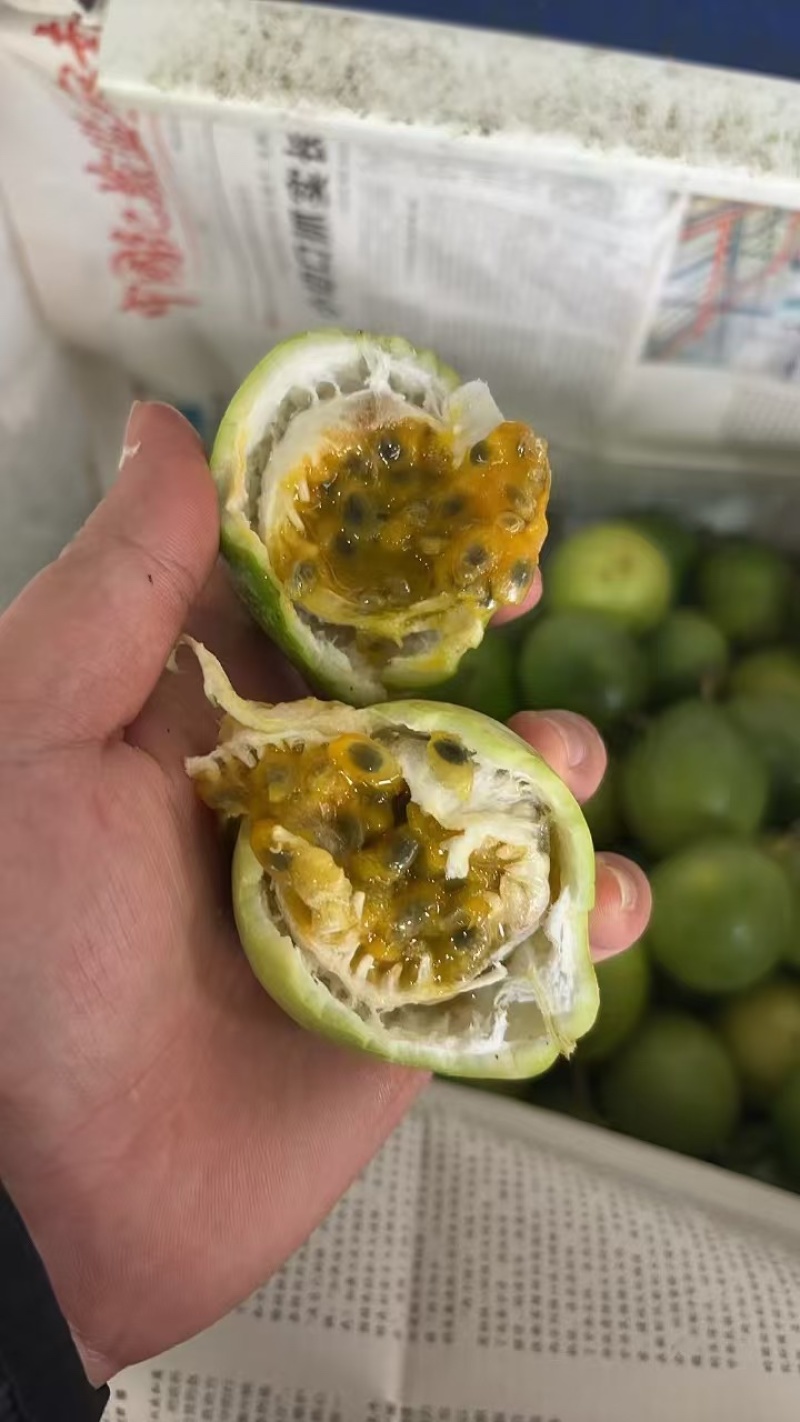广西钦蜜9号百香果