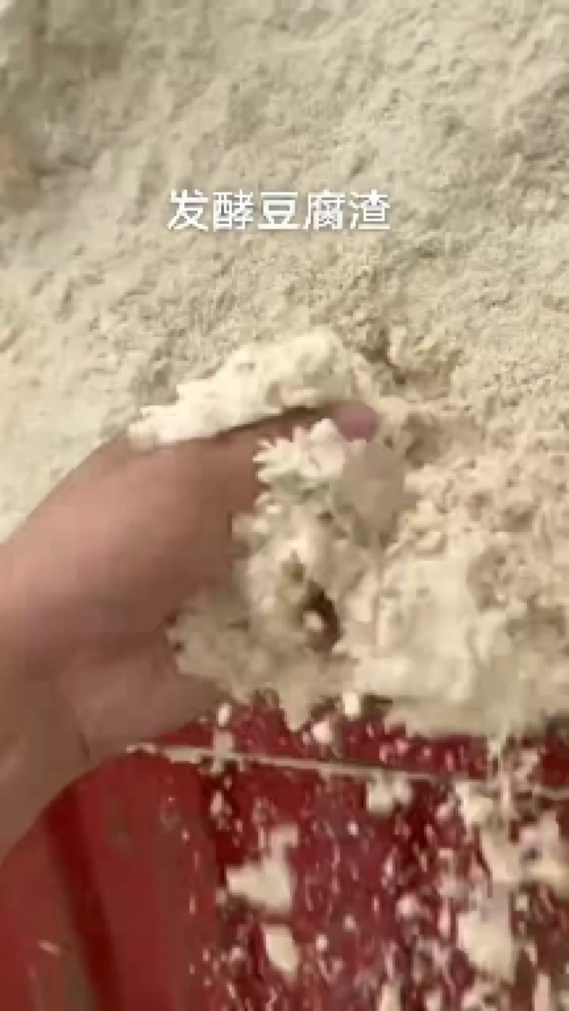 发酵豆渣
