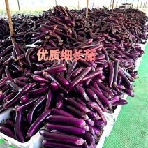 红线茄，规格齐全，价格齐全，提供打包，装车，运输一条龙！