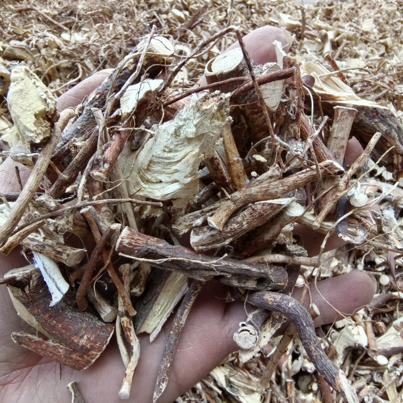 五指毛桃/大量五指毛桃切段统货，供应产地直发/量大从优