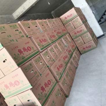 普通鸡蛋，不含包装及运费