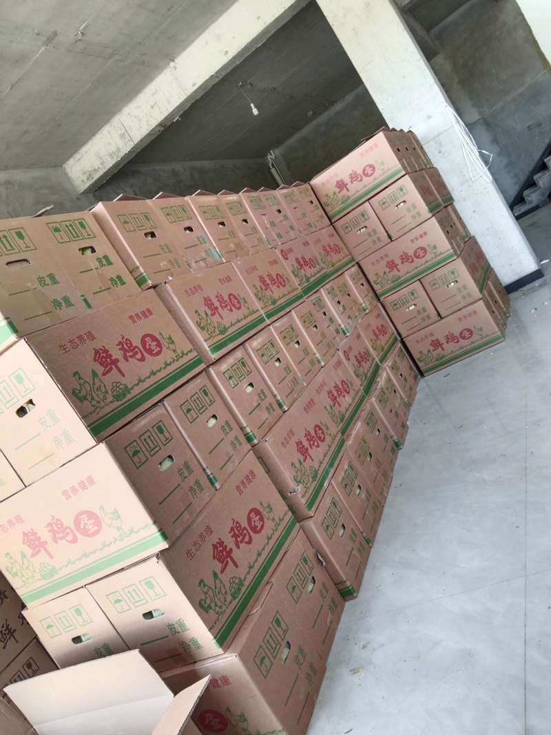 普通鸡蛋，不含包装及运费