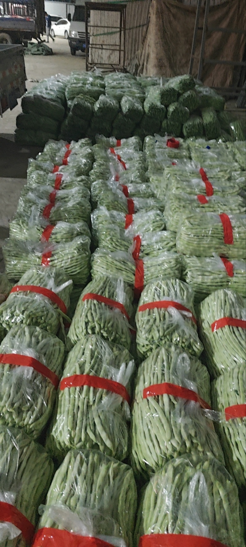 架豆王无丝豆大量上市新民产地小飞代办