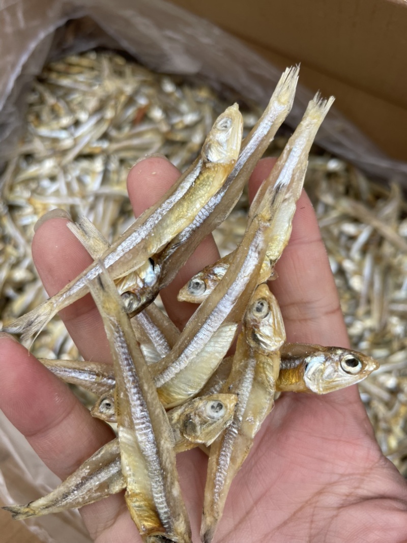 淡干公鱼