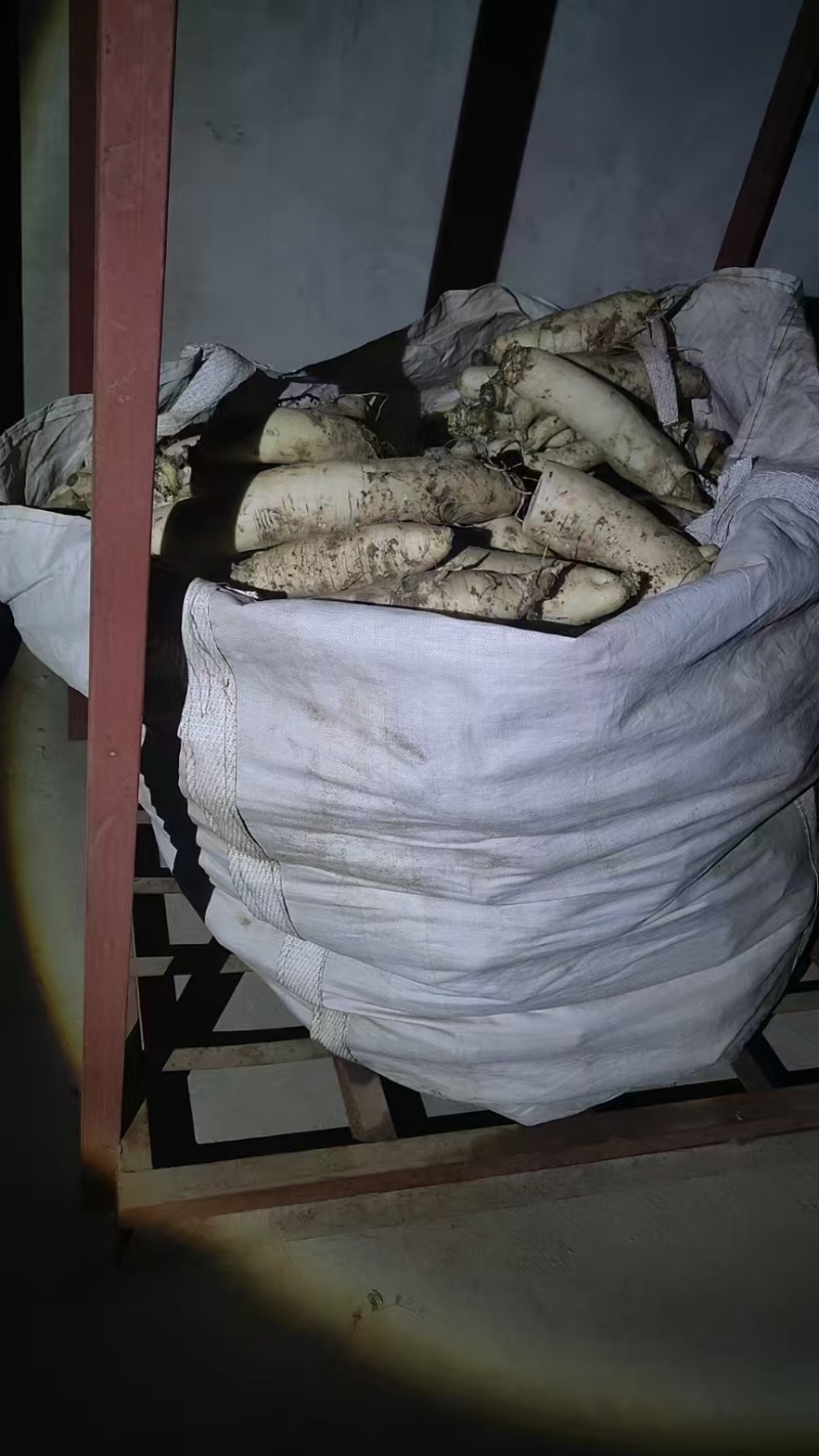 大量批发供应加工厂的，养殖场的袋装白萝卜，渣萝卜