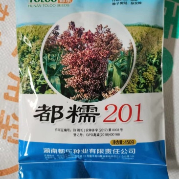都糯201小颗粒全糯高粱种子