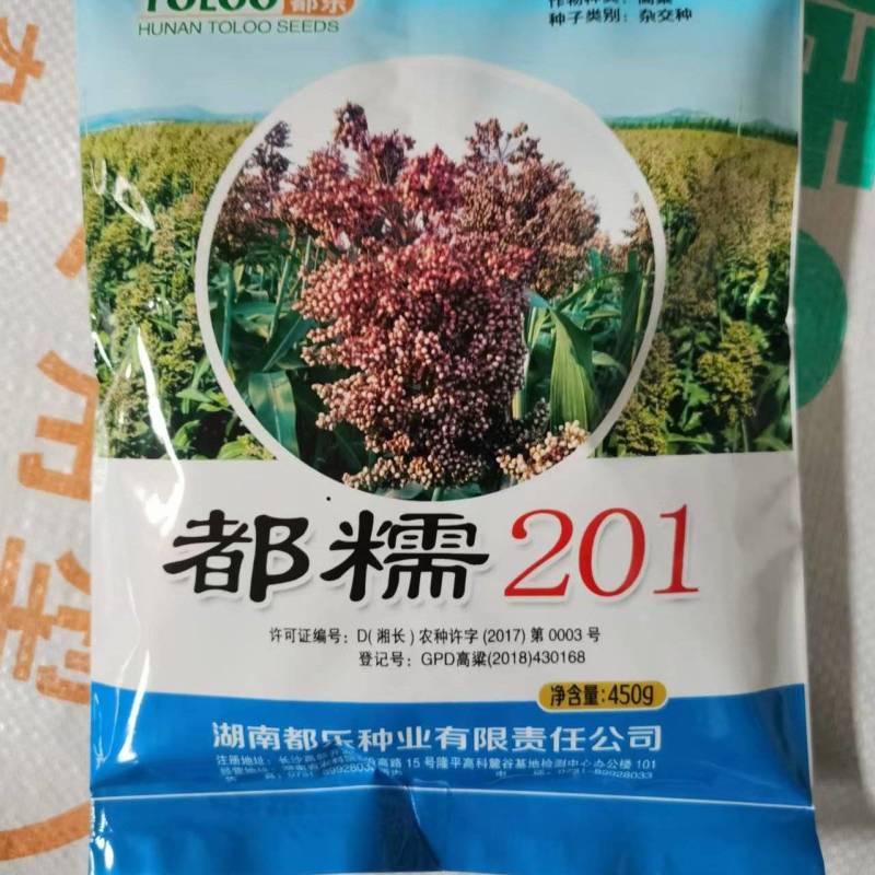都糯201小颗粒全糯高粱种子