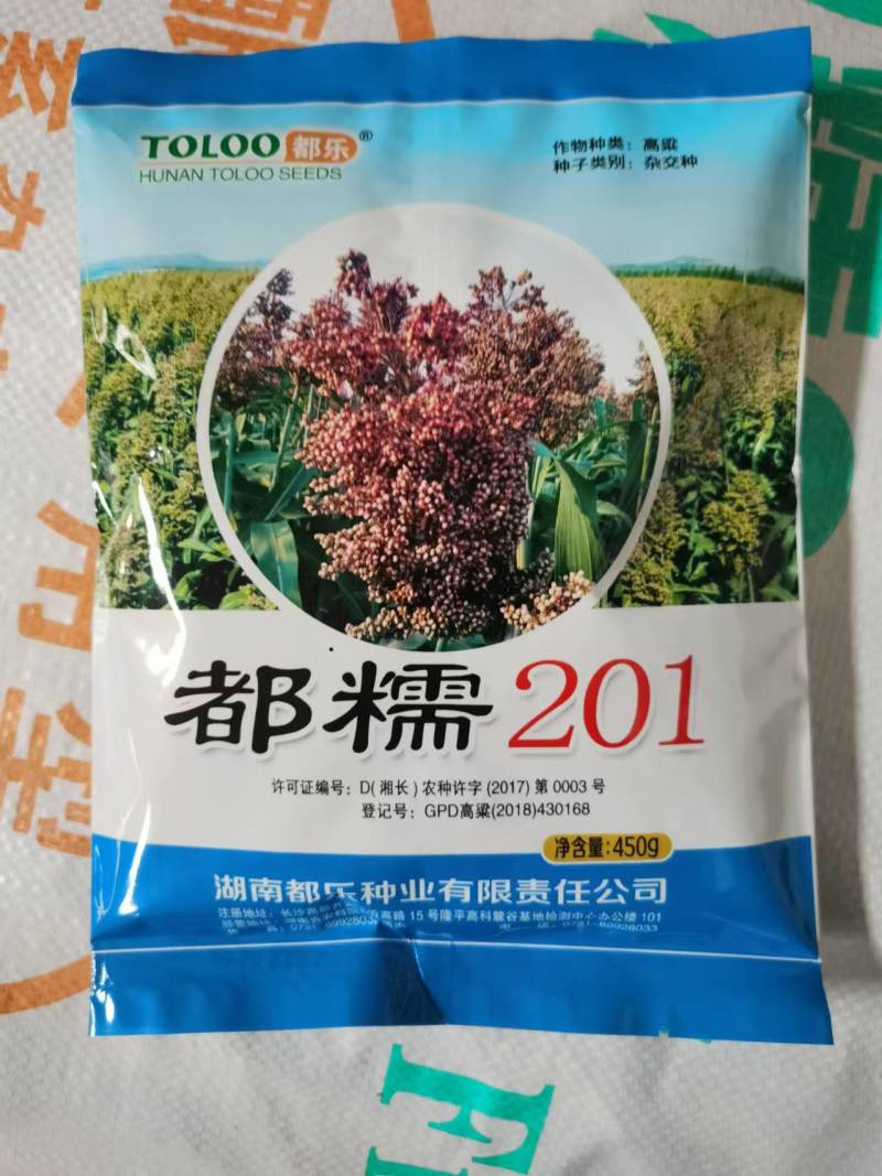 都糯201小颗粒全糯高粱种子